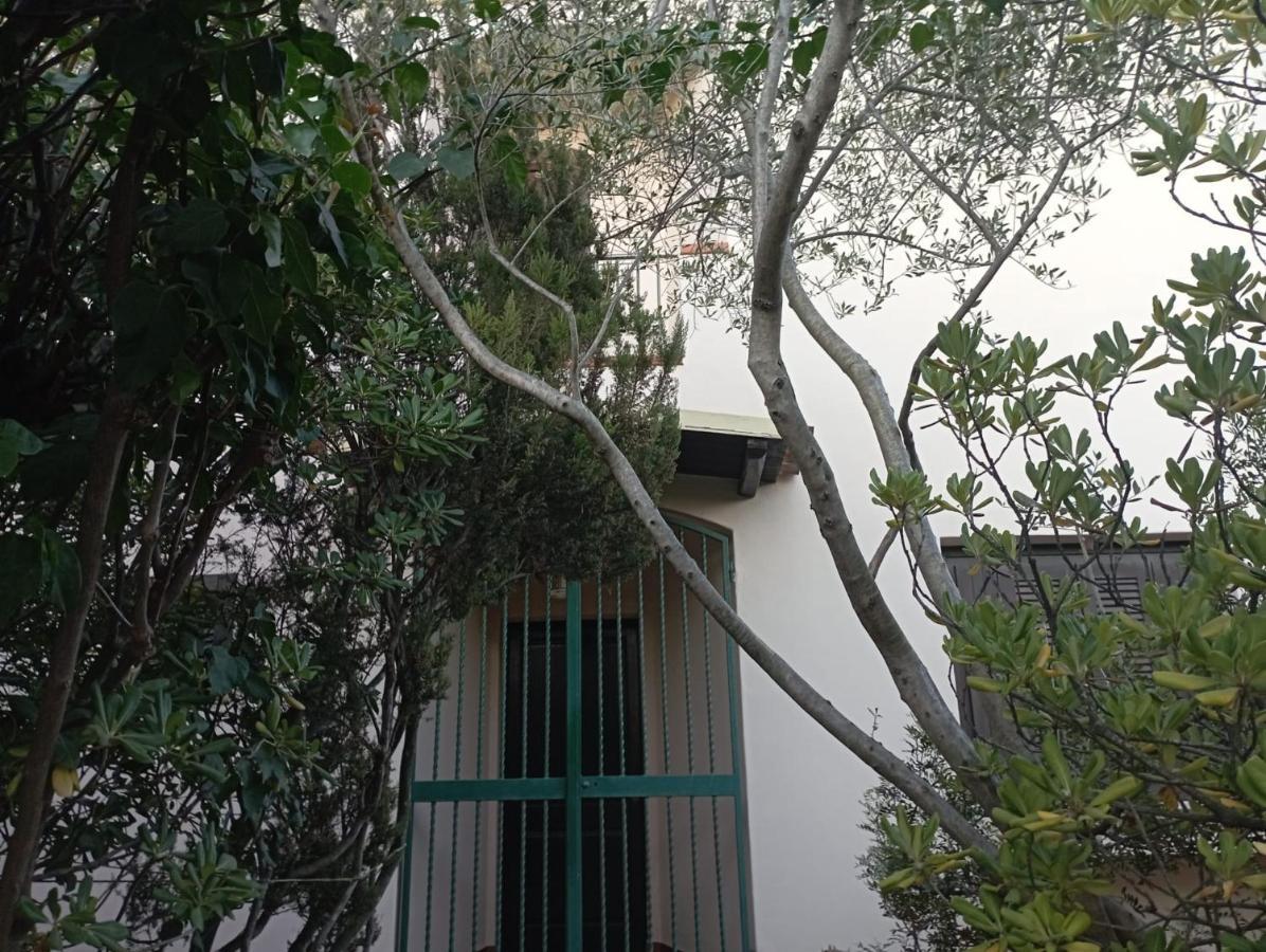 奧爾比亞Domus Garden住宿加早餐旅馆 外观 照片
