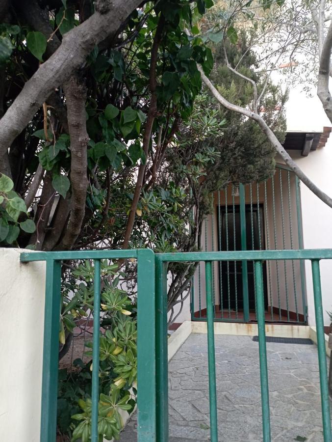 奧爾比亞Domus Garden住宿加早餐旅馆 外观 照片
