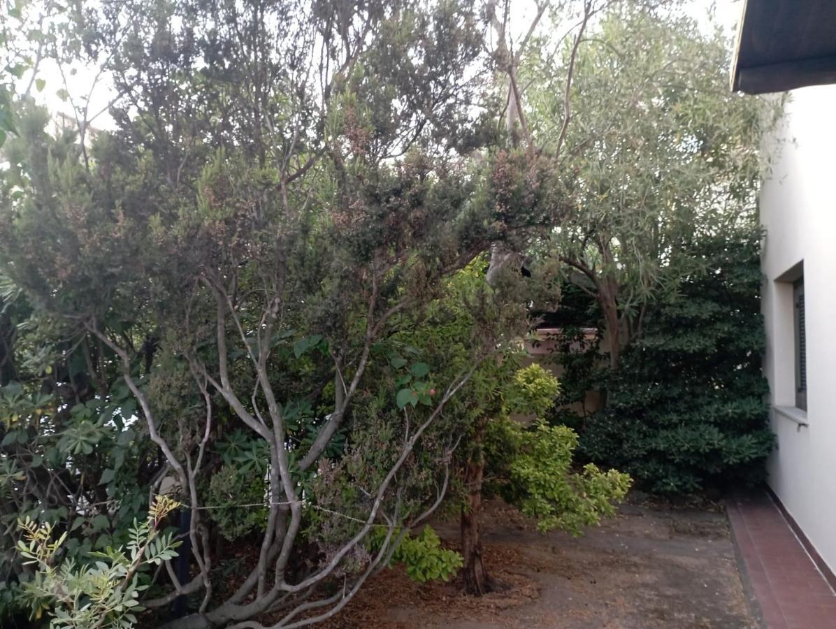 奧爾比亞Domus Garden住宿加早餐旅馆 外观 照片