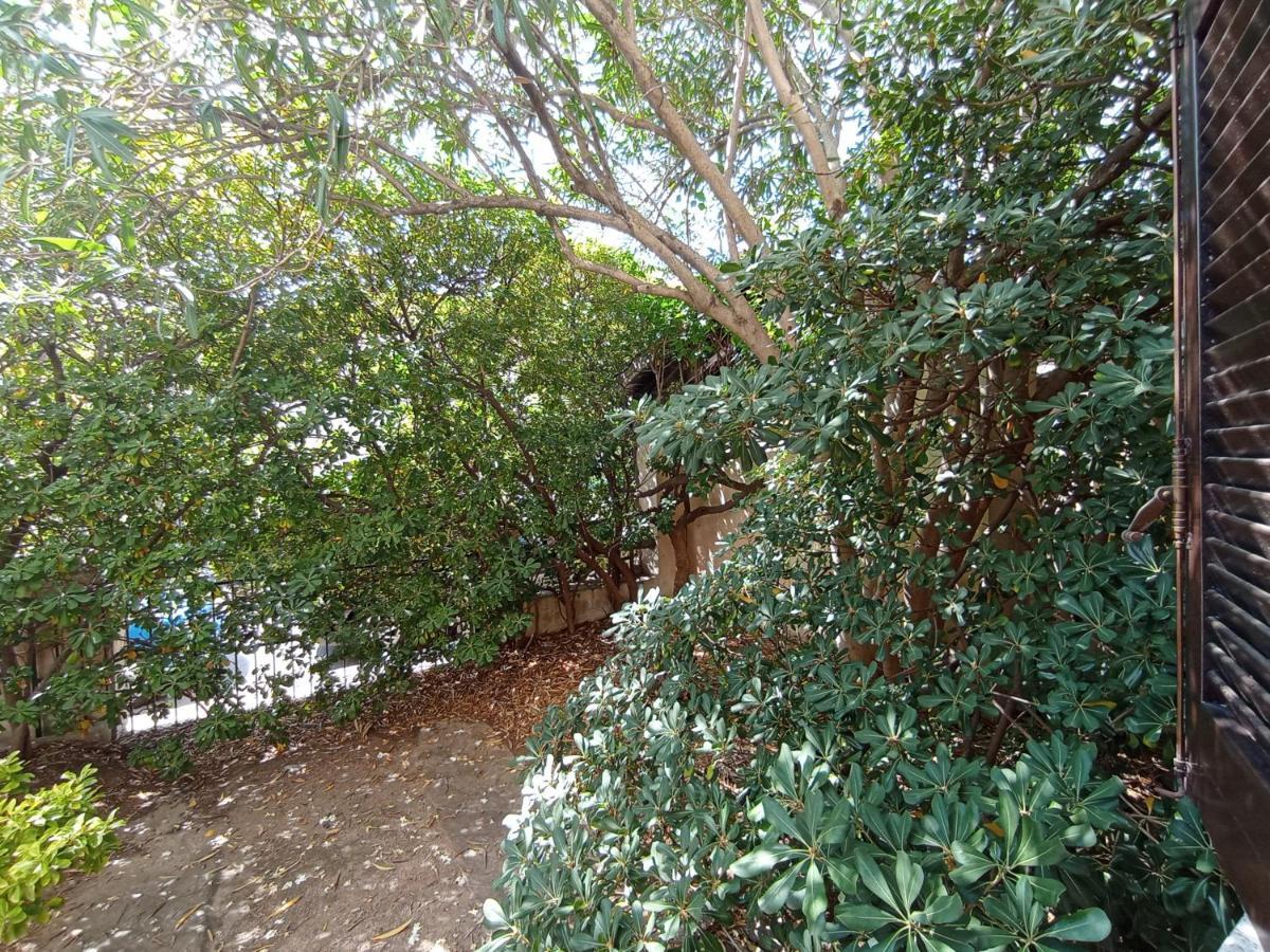 奧爾比亞Domus Garden住宿加早餐旅馆 外观 照片