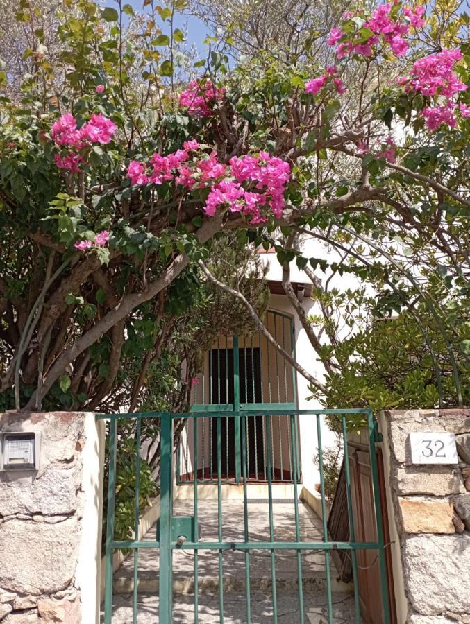 奧爾比亞Domus Garden住宿加早餐旅馆 外观 照片