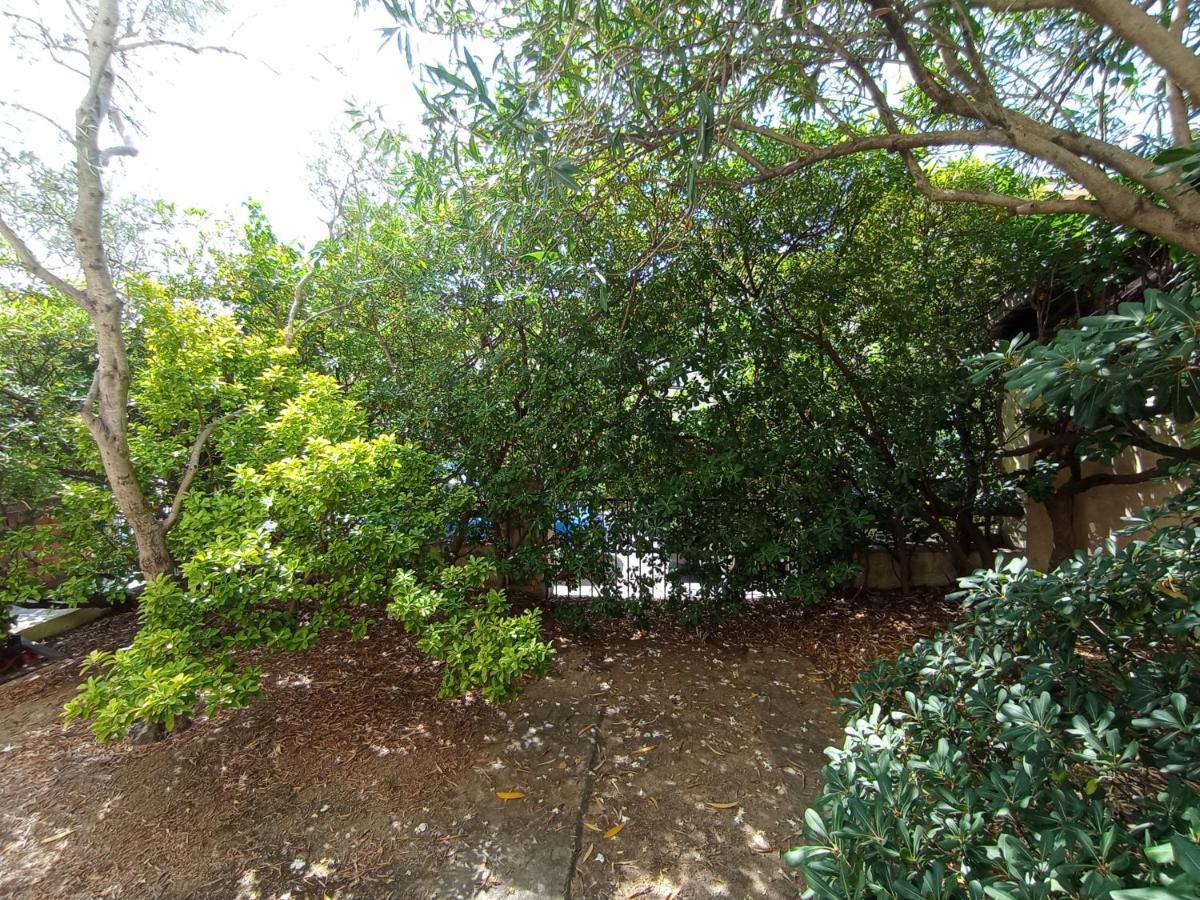 奧爾比亞Domus Garden住宿加早餐旅馆 外观 照片